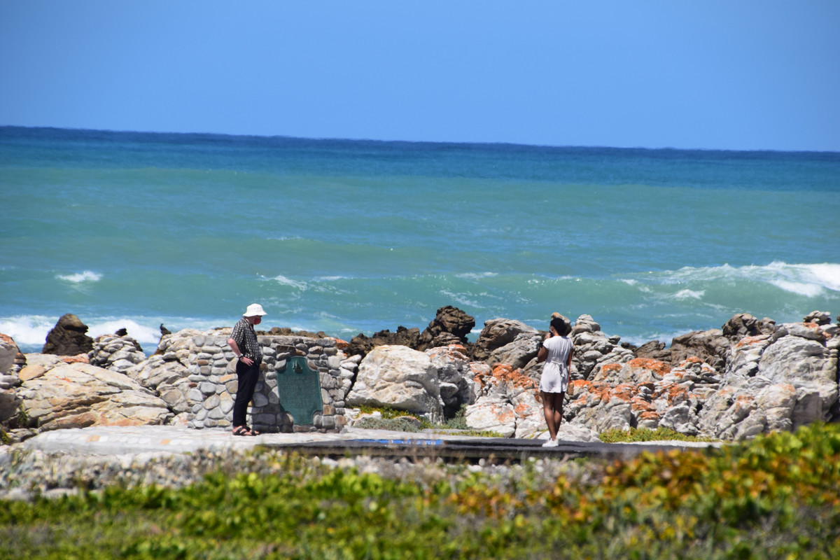 DSC_0028 (2)