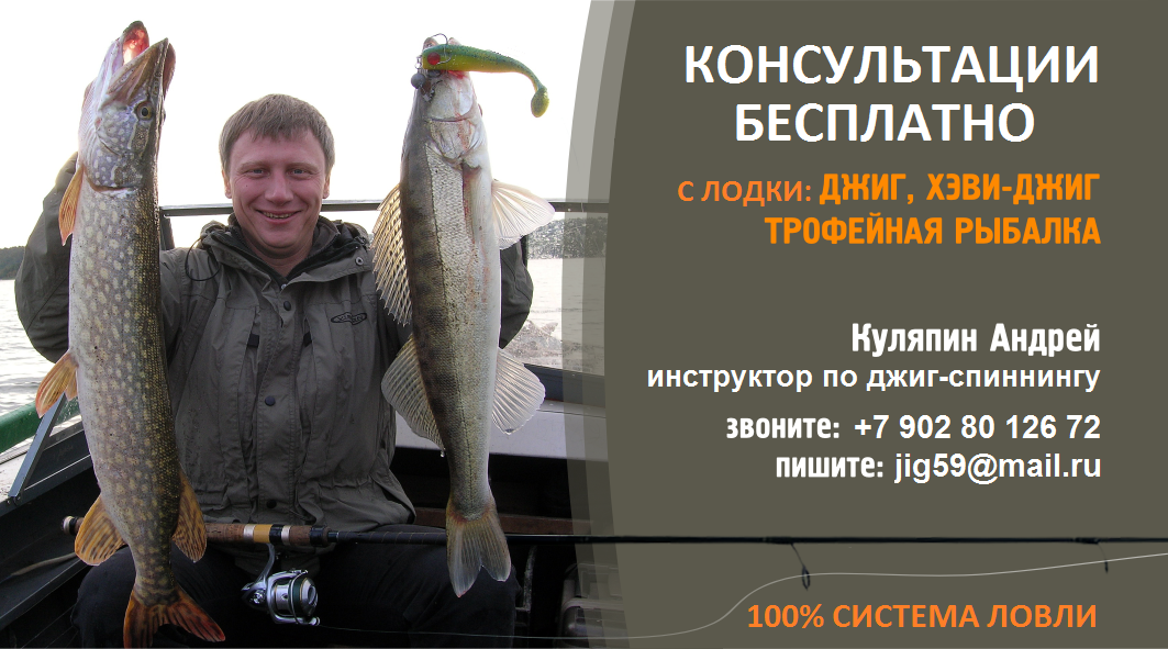 1 БК Визитка_Куляпин Андрей джиг - 100% СИСТЕМА 1234515