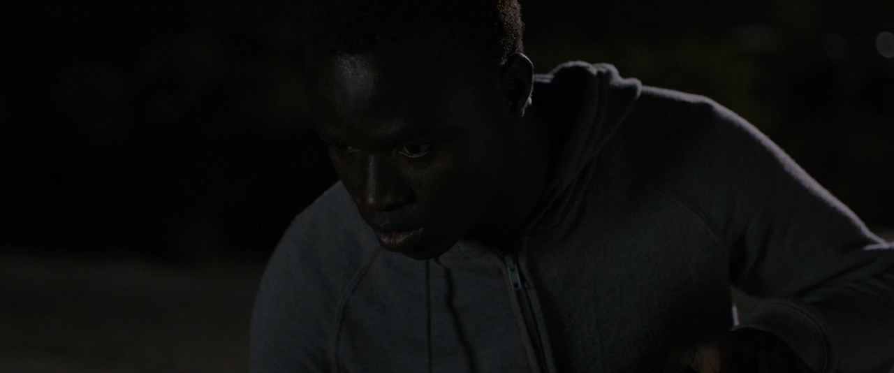 Twin Flower Fiore Gemello 2018 720p WEB DL x264 AC3 DEEP