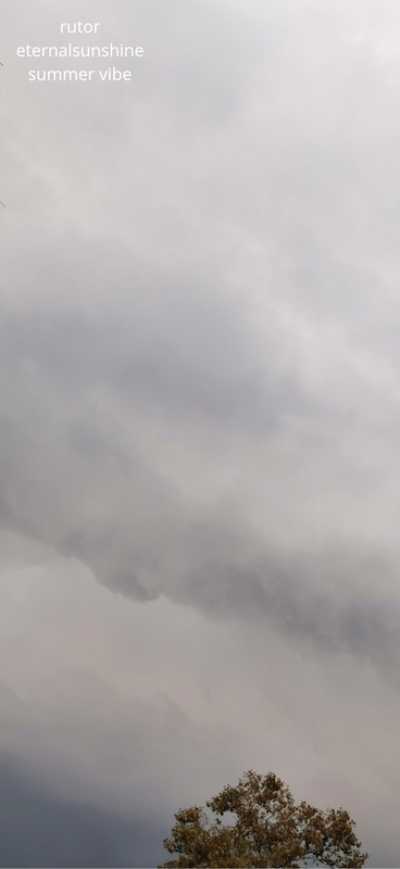 rutor-eternalsunshine-summer-vibe-20250822-222905-0000.png