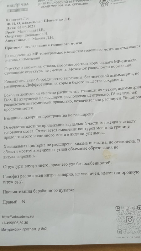 IMG-20230305-WA0004