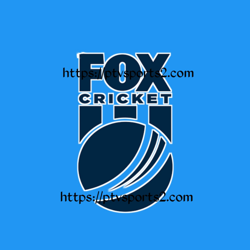 FOX CRICKET 