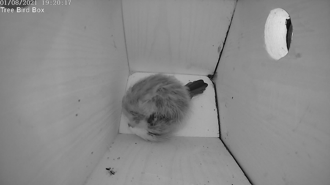 EEA8EE0B-2FF2-4DB5-B491-B56595E0EBCC