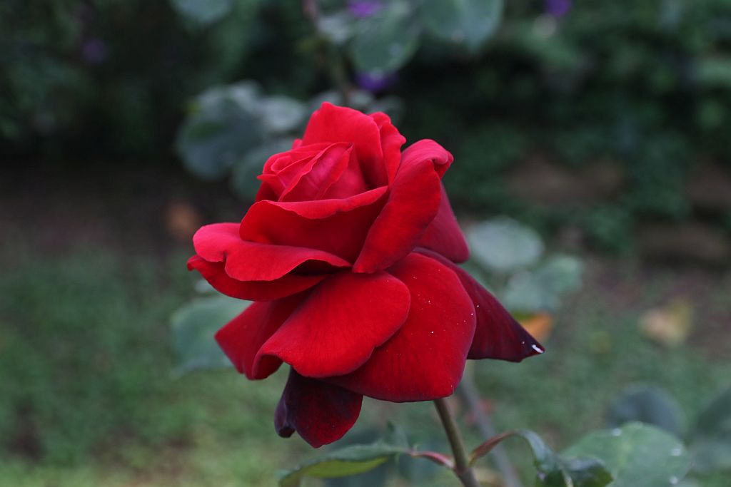 https://i.postimg.cc/RhsVmyxx/IMG-7392.jpg