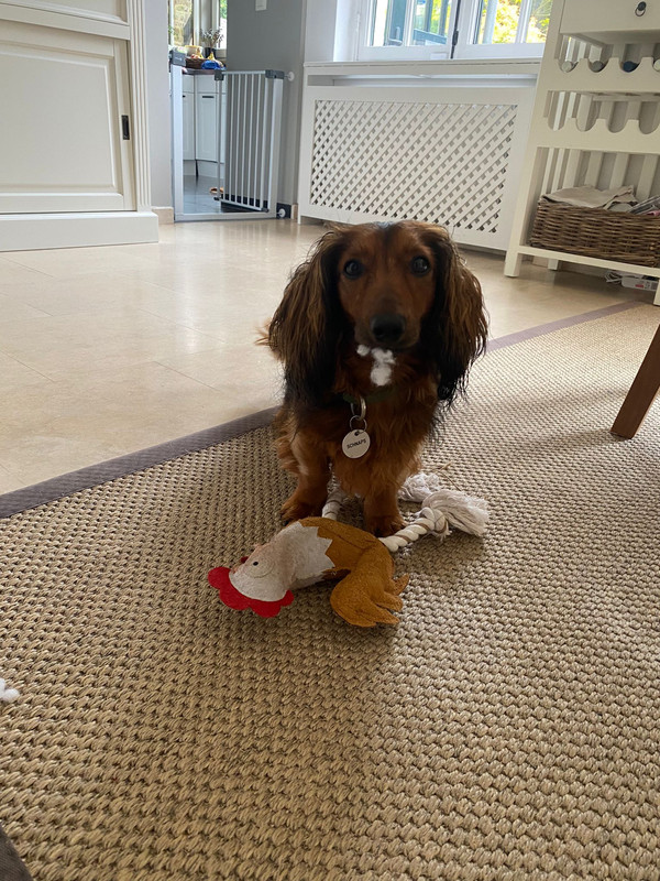 [Image: IMG-20240805-WA0017.jpg]