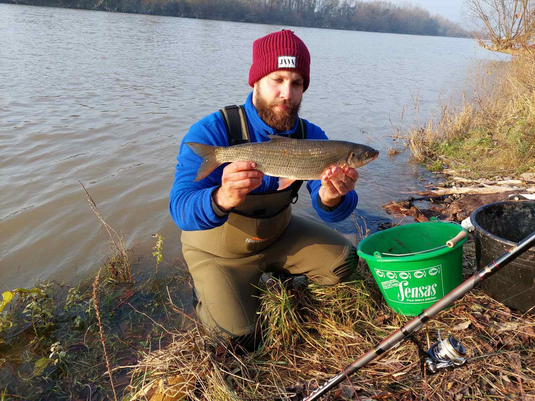 84873203-1B92-4FD0-9339-309E55420278