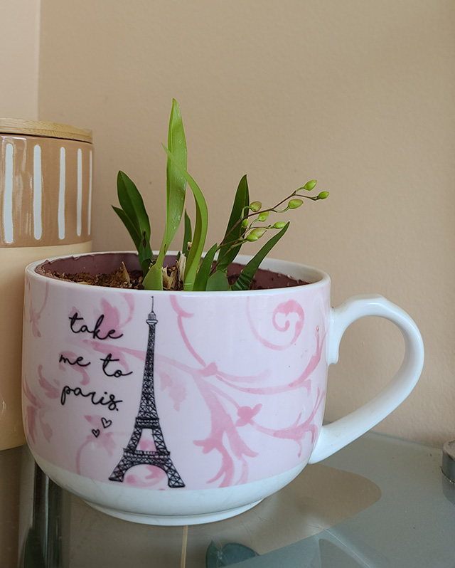 [Image: 20221028-104853.jpg]