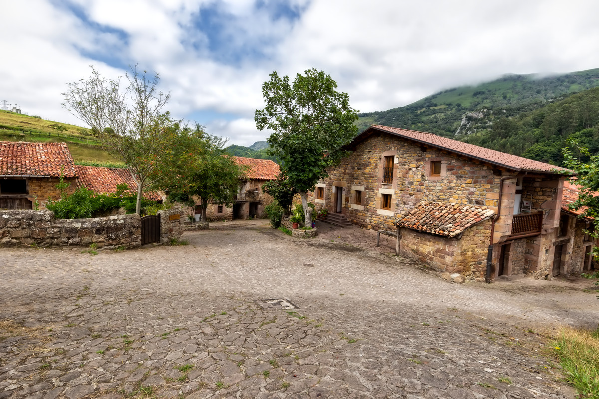 BOSQUE DE SECUOYAS - CARMONA - LA CUEVA DEL SOPLAO - CANTABRIA (8)