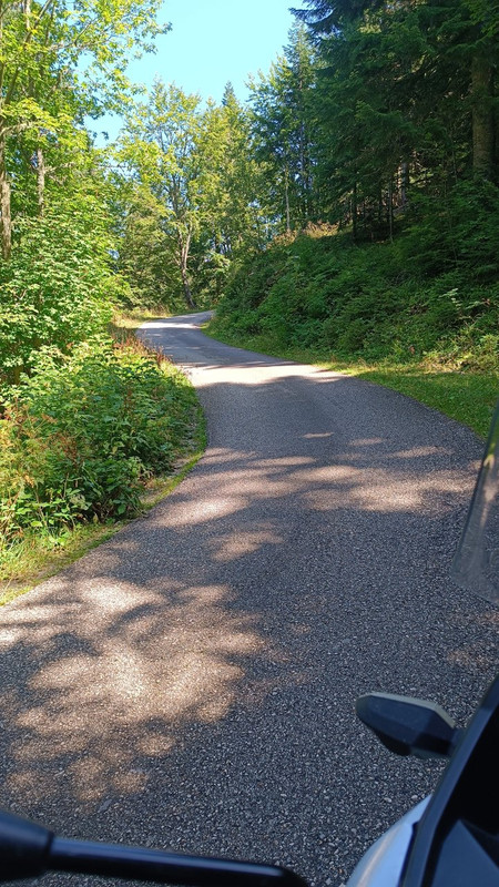 IMG-20230825-131046.jpg