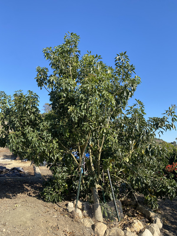 B54B6ADE-F620-48DD-9DD7-2EC56A145E4B