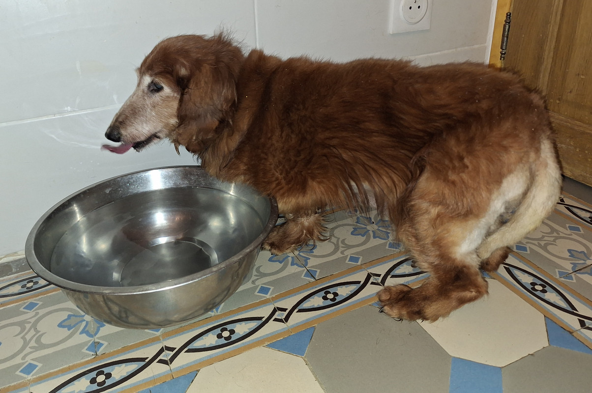 [Image: 20240312-111116.jpg]