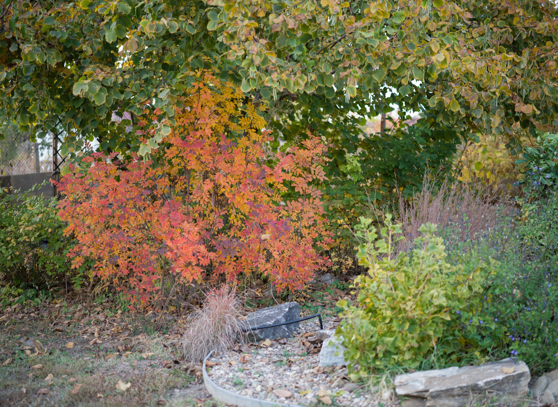 IMG-2aa635eda7b93220c45073d70f2902e8-V