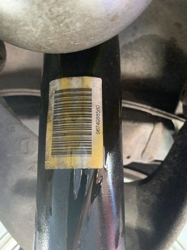 337FCA1A-A7EB-496E-8463-C0ABEA0F2A68