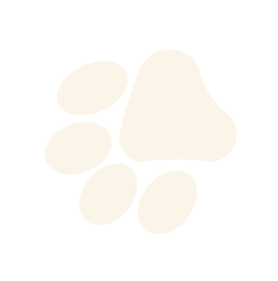 refugio de gatos en costa rica