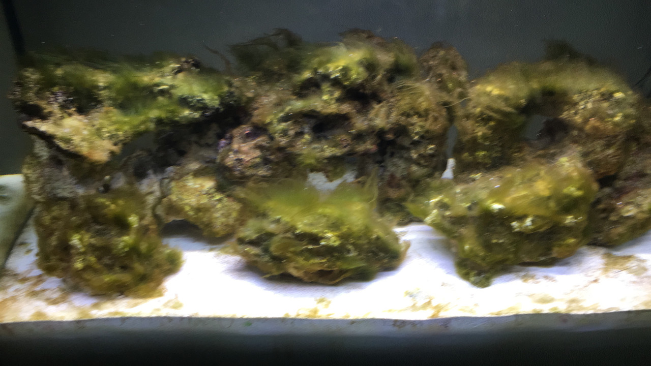 5F8E5576-C48C-498F-A78E-E9D829526D49