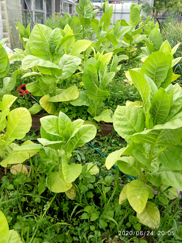 15930039228786998602147096945671