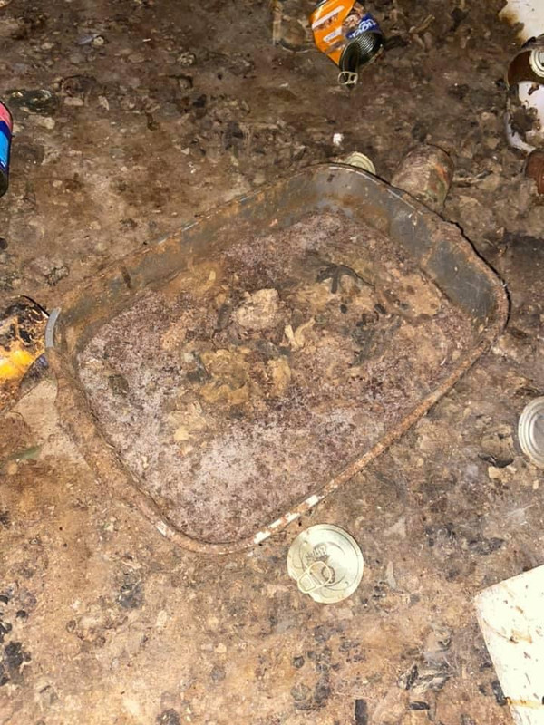 5205BF79-360F-40C2-9CBC-540F8A2D983E