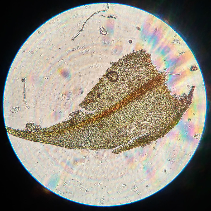 IMG 20250615 222340 HDR