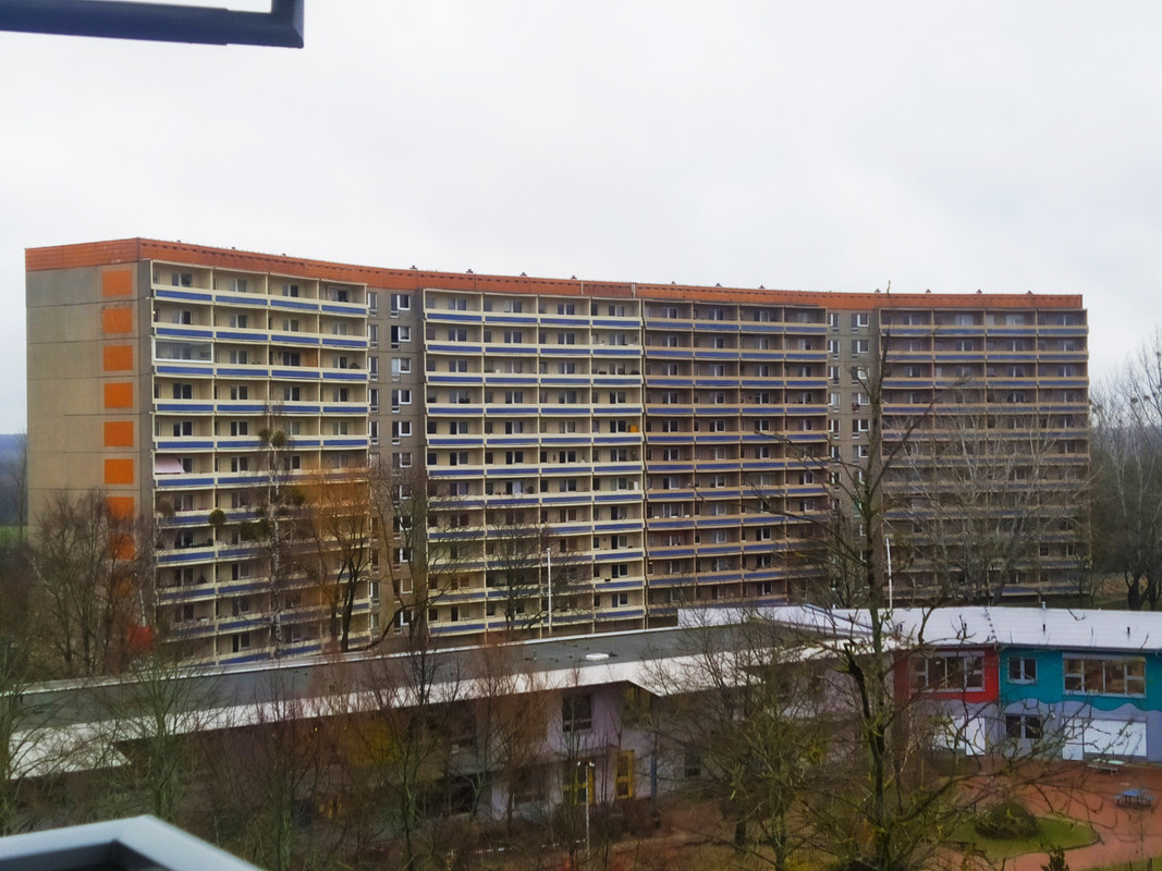 IMG-20210105-131252.jpg