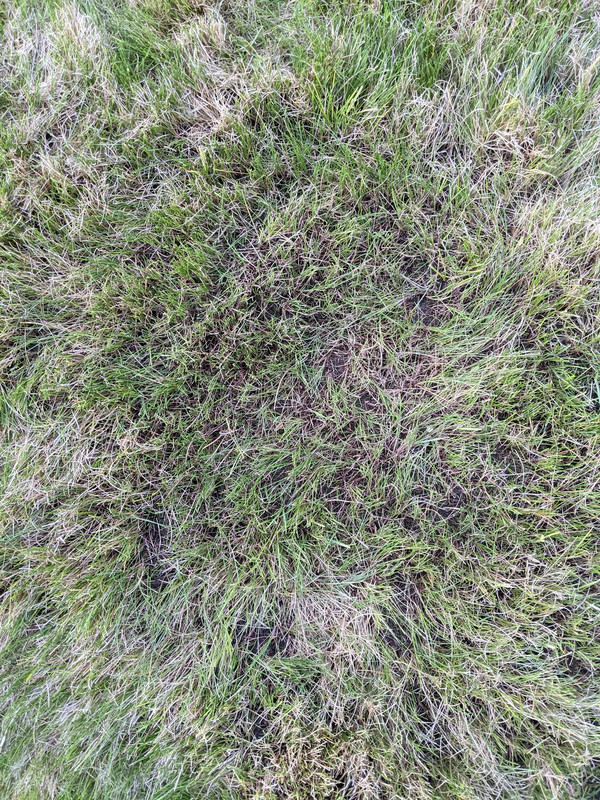 PXL_20210528_032437198