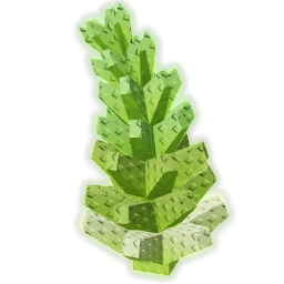 Romanesco Seeds