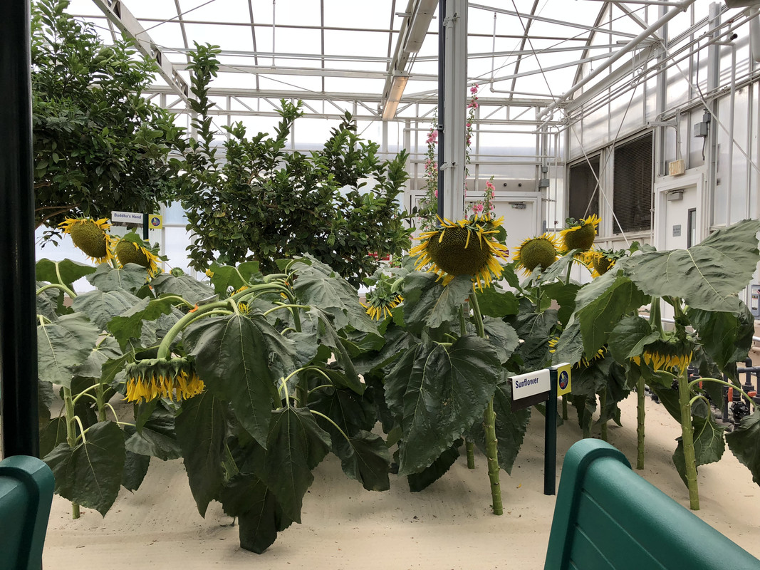 61FFAE91-557F-429F-81D3-9704D53B8F9D