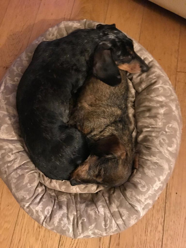 [Image: IMG-20221120-WA0007.jpg]