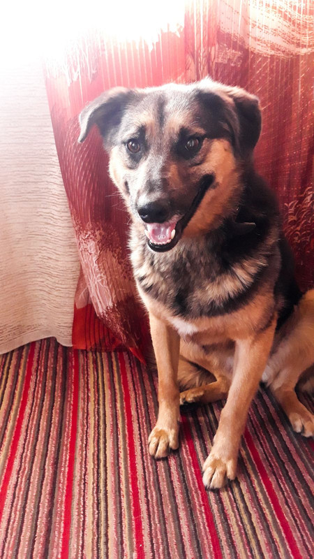 IMG-cedc4aea14a0aa04f3de03d7c88befb4-V