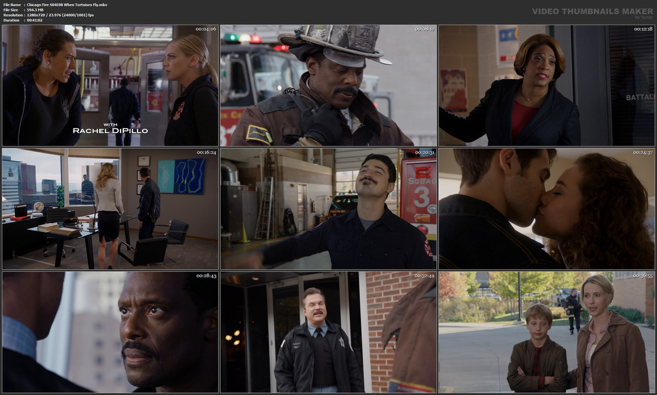 Chicago Fire S04E08 When Tortoises Fly.mkv