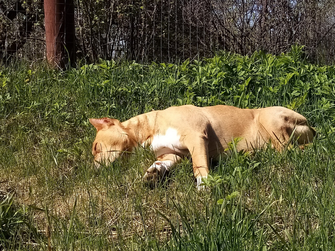 B1D201F7-2BEA-4FBF-AEE1-85B435FD6F39