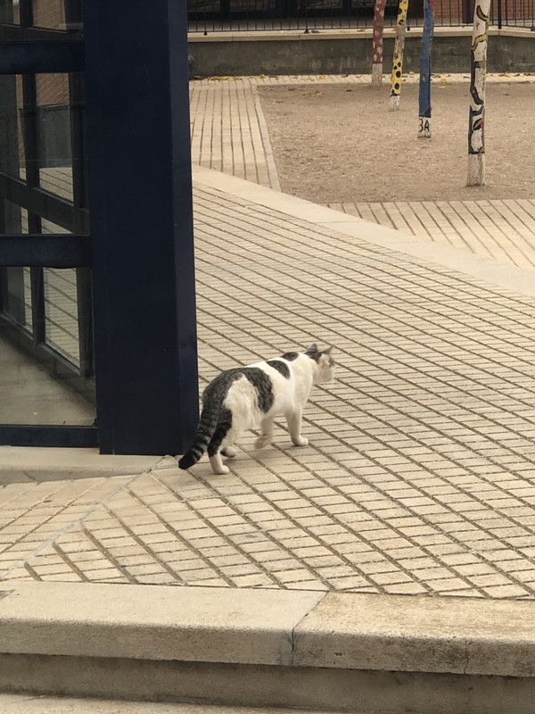 F83AE3C1-A24B-4CB2-8561-A07DA7928FFE