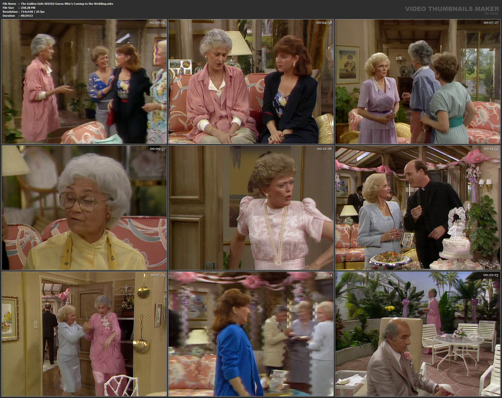 The Golden Girls S01E02 Guess Who's Coming to the Wedding.mkv
