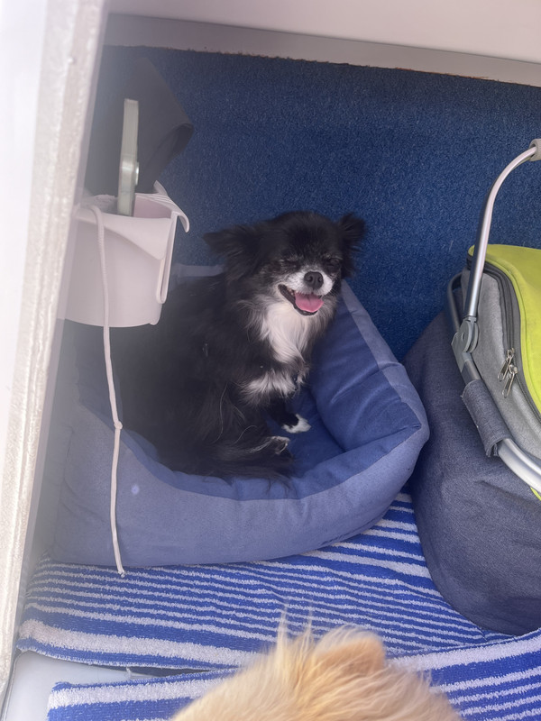 [Image: IMG-9163.jpg]