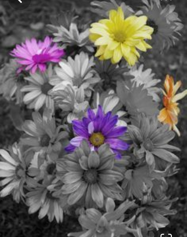 Screenshot_20230422_233841_Pinterest