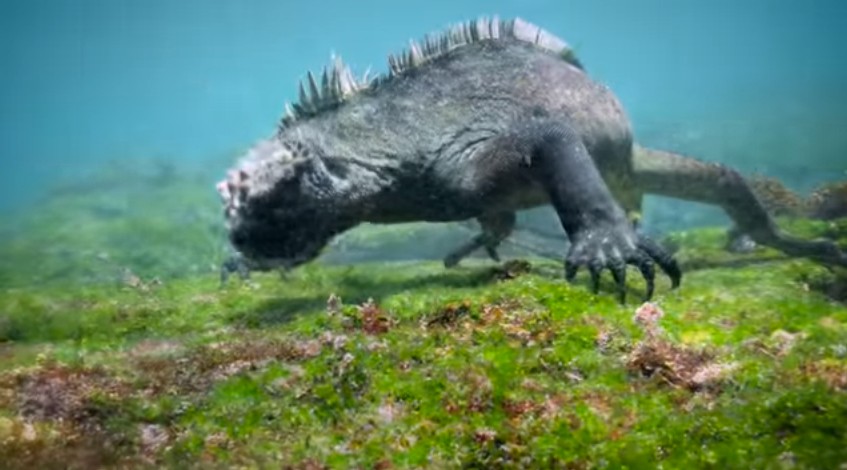 Godzilla: il Re dei Mostri esiste nella vita reale, è mini