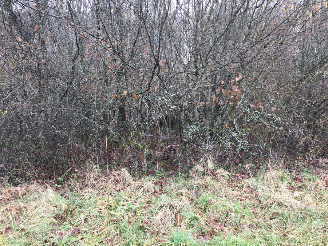 3FD2BE8C-2146-4FD3-9823-1B1103B01B68