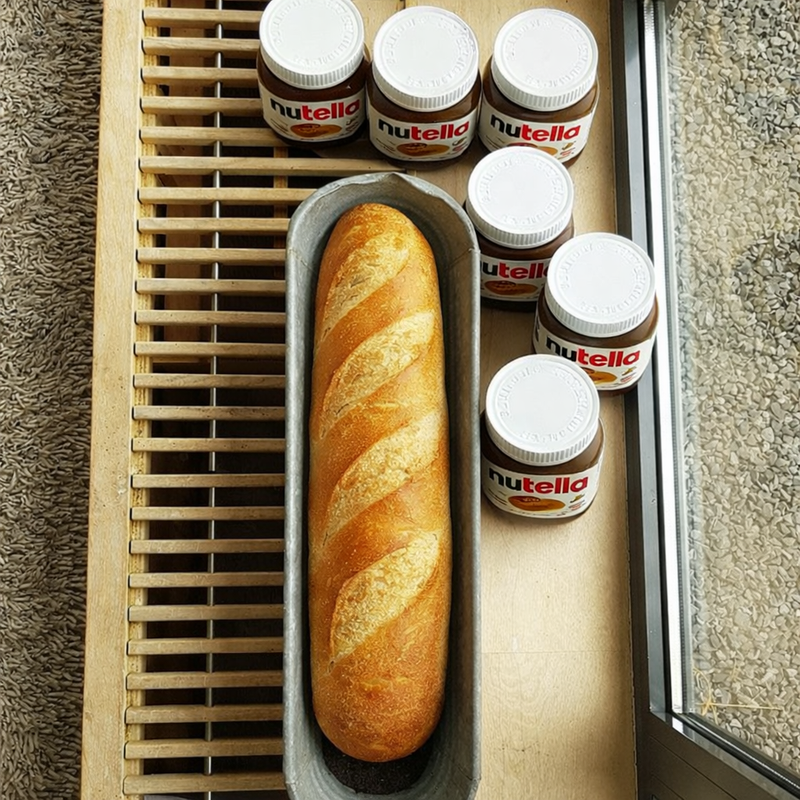 Chat GPT Image Jan 23 2026 at 11 04 26 AM