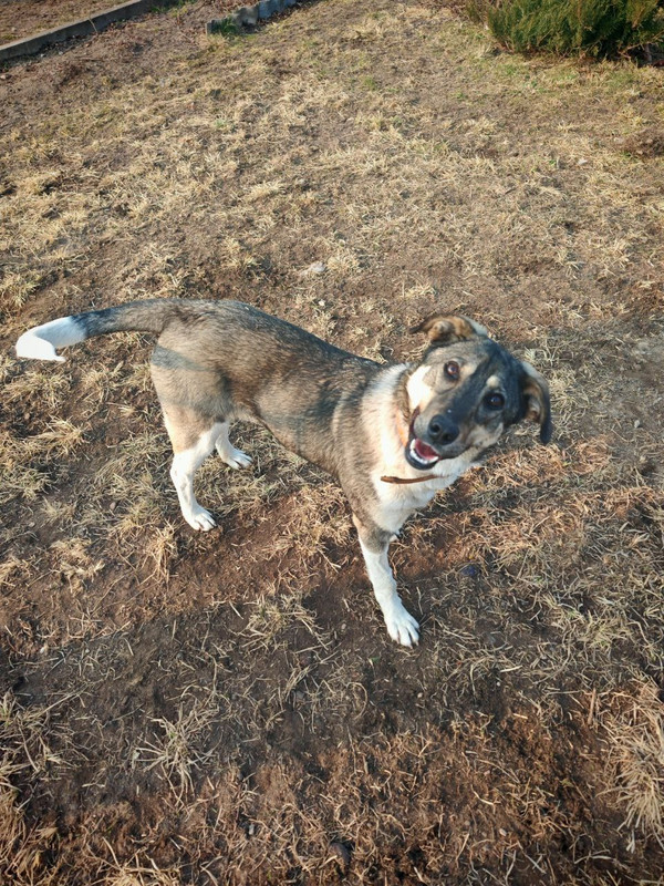 g5OZeG_KBdG2lZepNfNgVeIveIu1XuqN-DCMJDevMYoR9wts1uIonV9bUyrN5pHY6XqrBjrpVp4A-EN-SCZ6JK7A