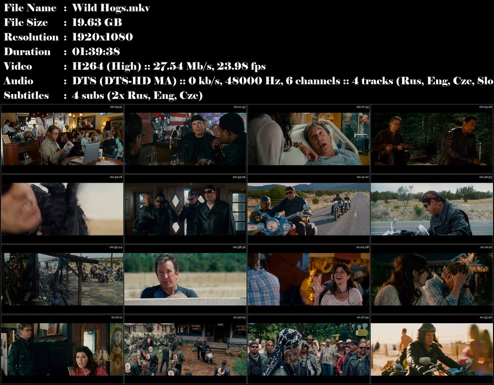 Re: Divočáci / Wild Hogs (2007)