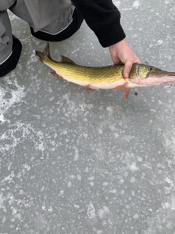 F2B4A768-9C7C-4975-8132-D53363970545