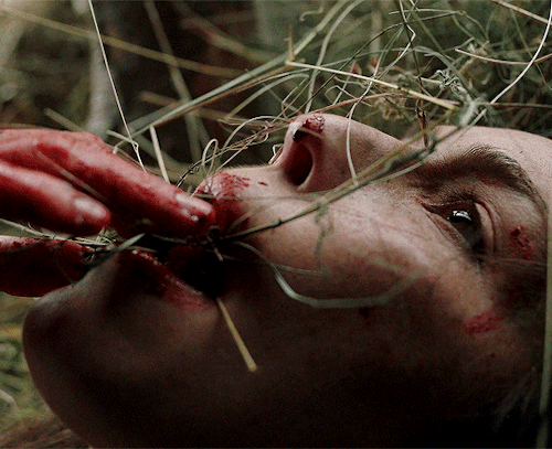 tumblr_fbcc41664bdbdccd66d442921019337d_6f607b47_500