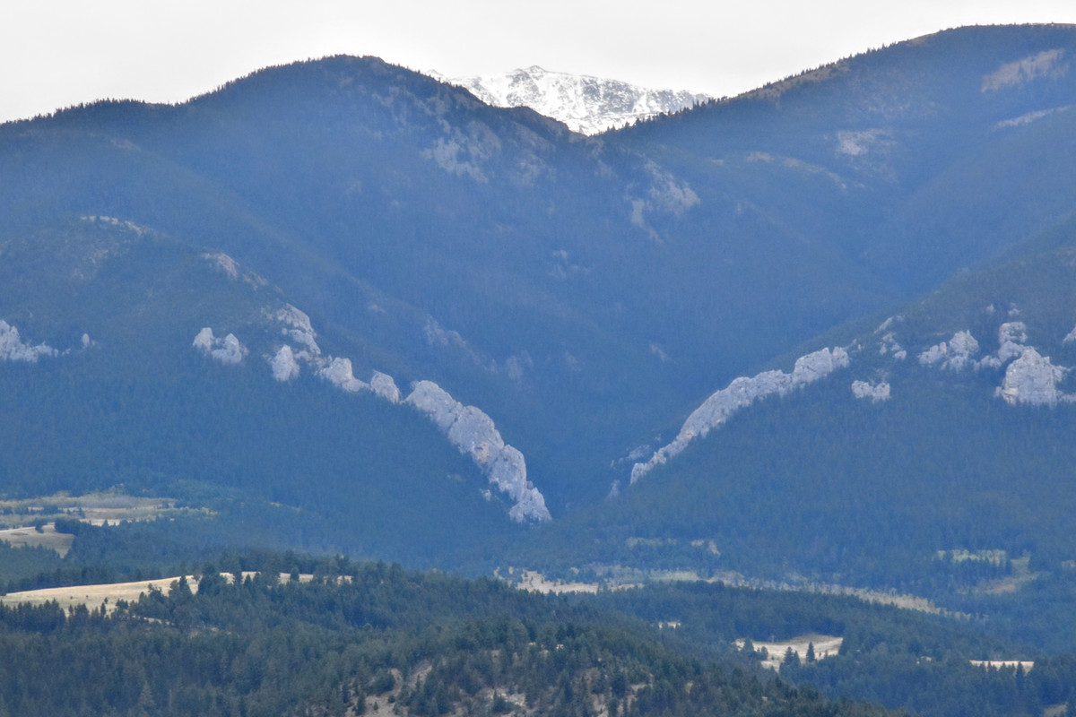 DSC_0029 (1)