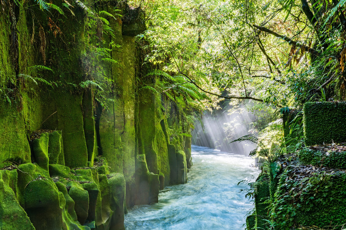 CF135F07-2E15-4A6D-82C7-C2B5236F91EA