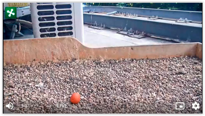 Screen Shot 03-01-25 at 04.20 PM