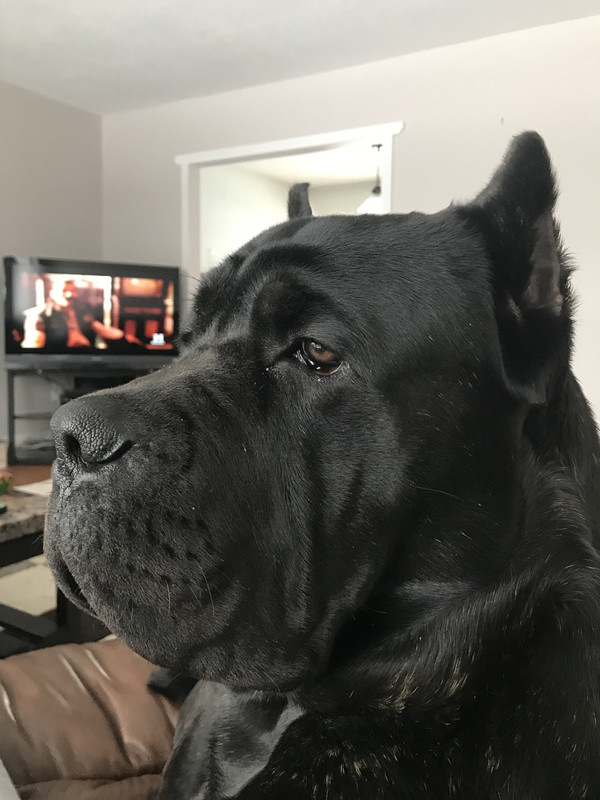 685F7DD7-9C34-4C0F-A099-D4B4A3FA741D