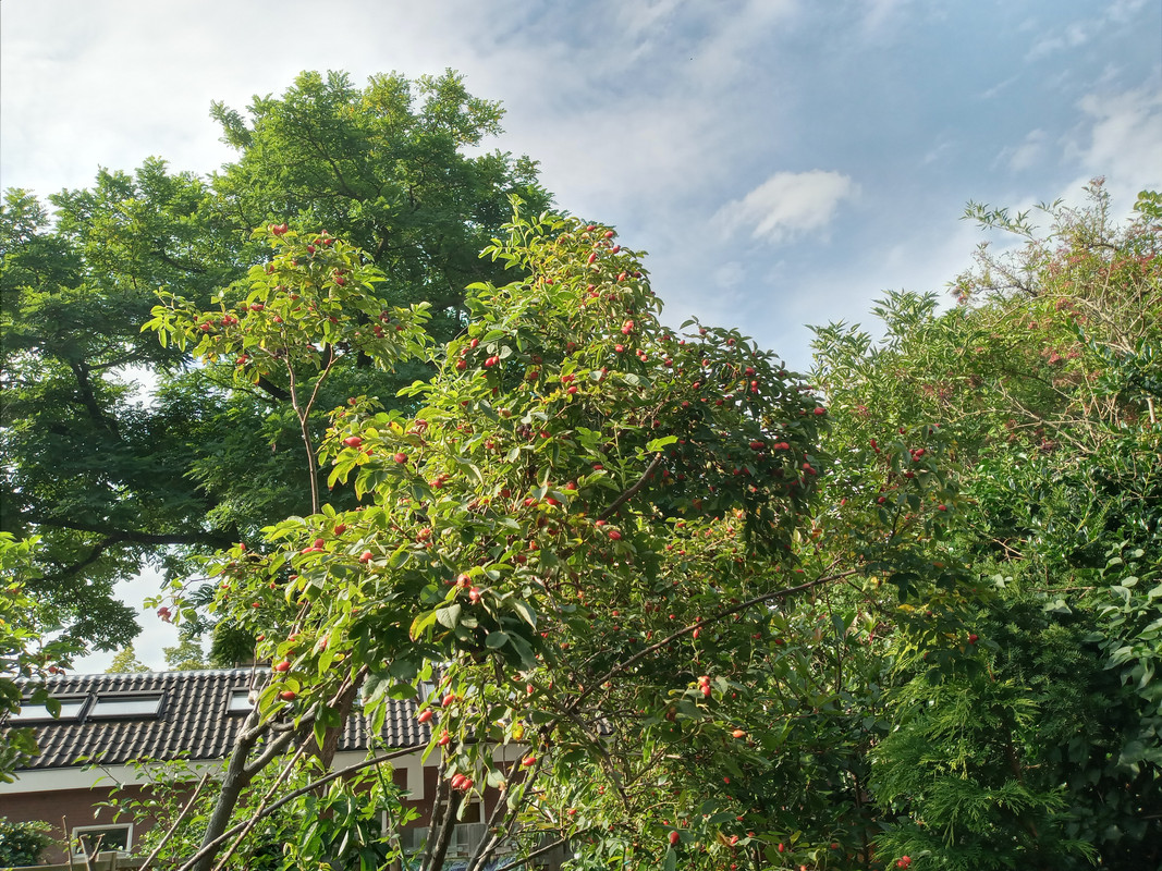 [Image: 20210812-174416.jpg]