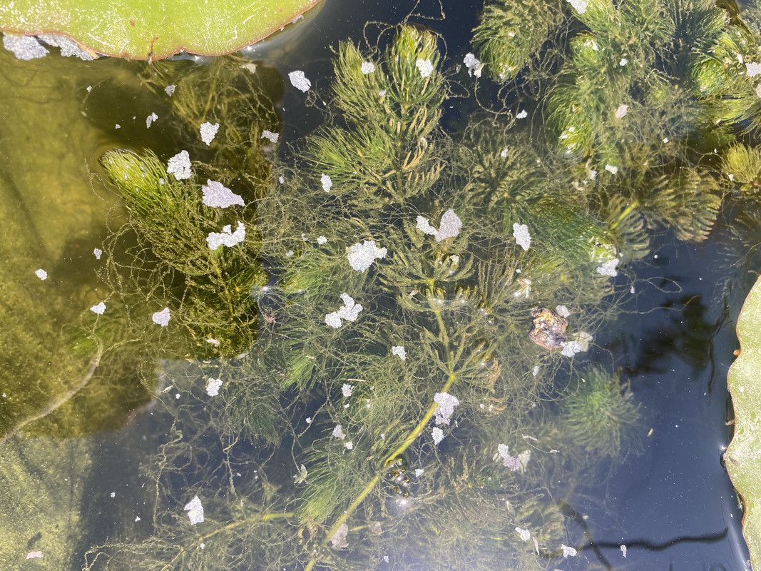 97F0896F-C3A9-4AE5-A1C4-135371095794