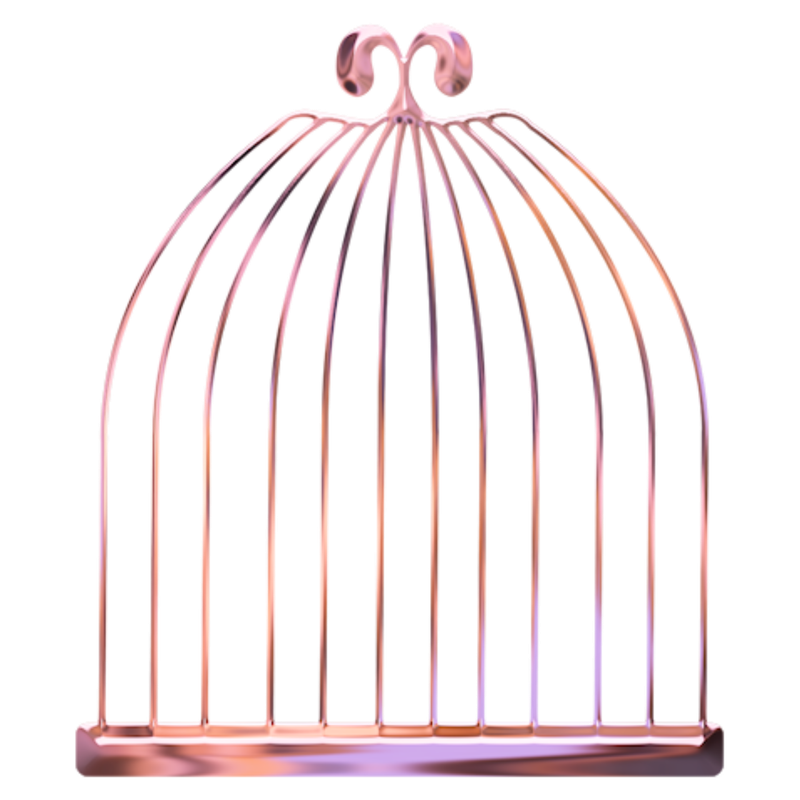 pink 64