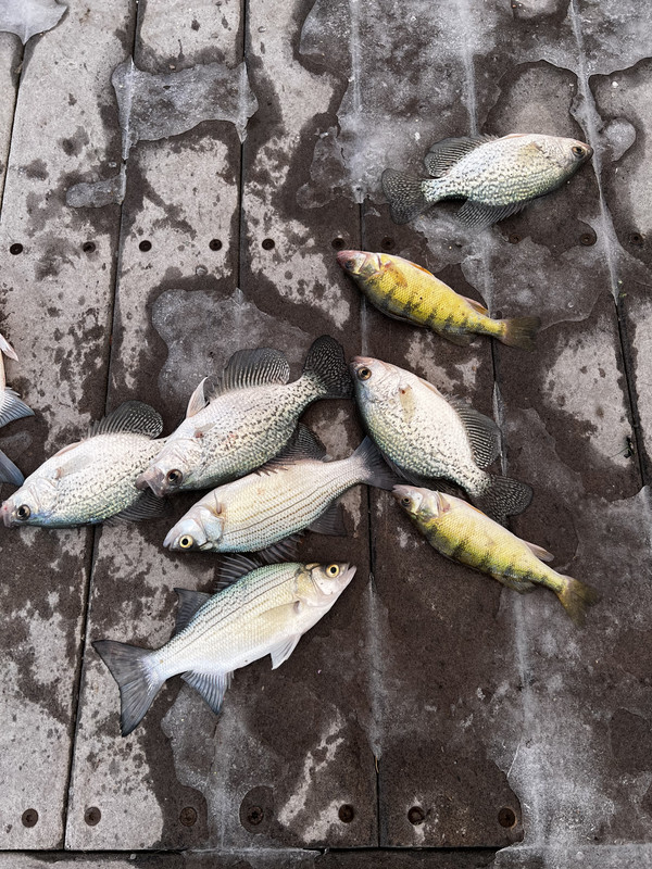 5C05148A-C406-4513-97DB-FF81F9290E24