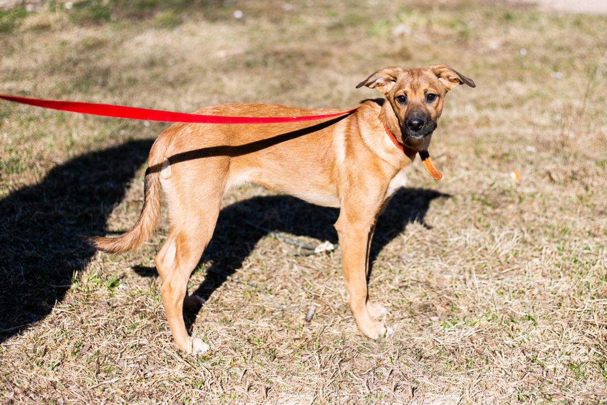 IMG-08d86d244c7735a1a5105272c8ad1c24-V